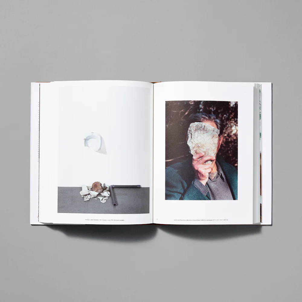 Jimmie Durham: At the Center of the World - Image 3
