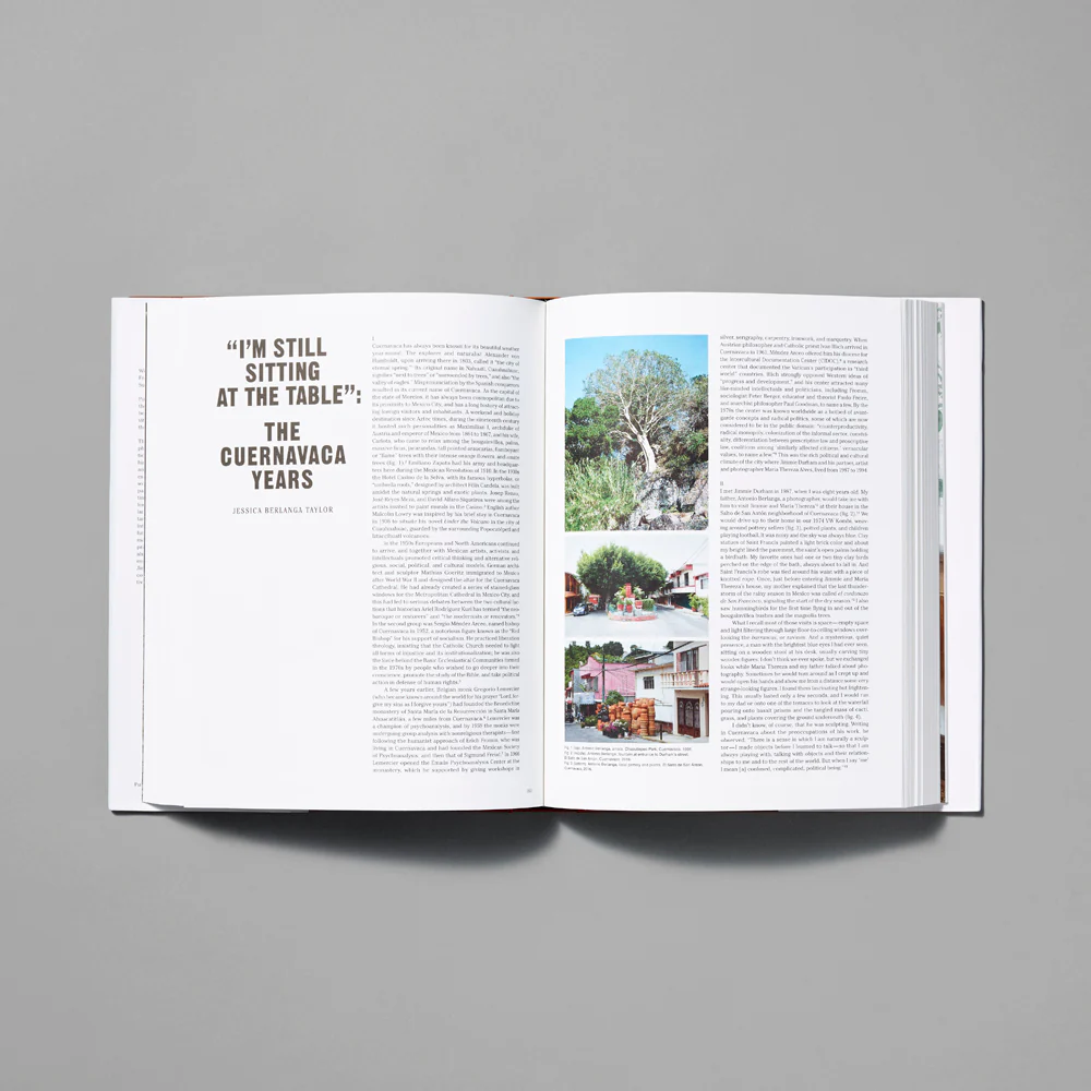 Jimmie Durham: At the Center of the World - Image 5