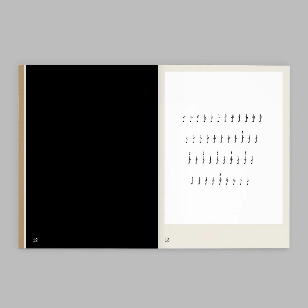 Raven Chacon: For Zitkála-Šá - Image 3