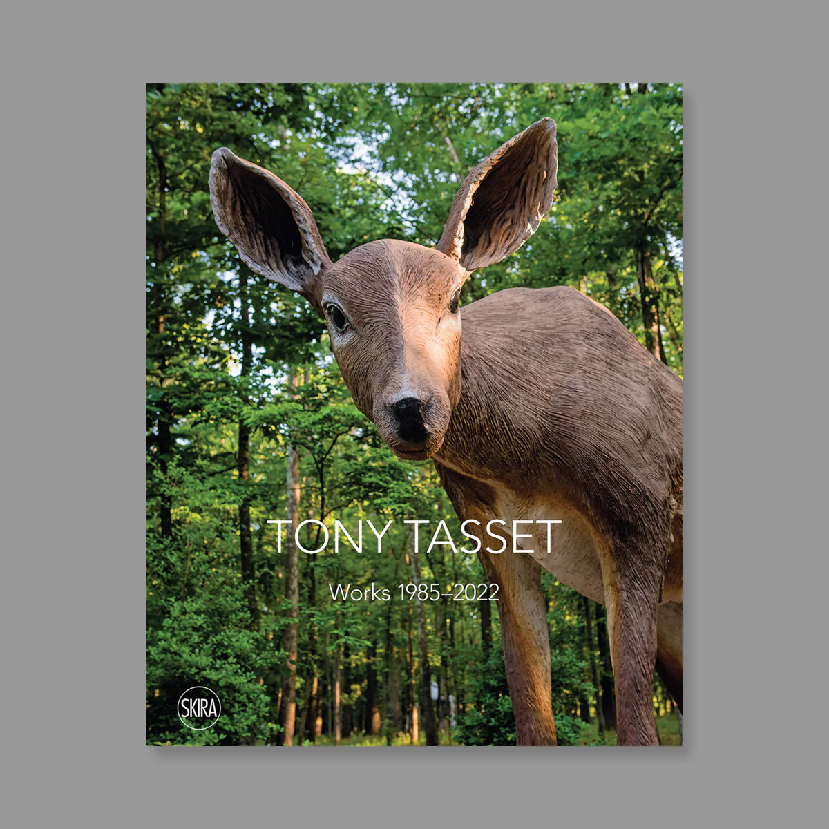 Tony Tasset