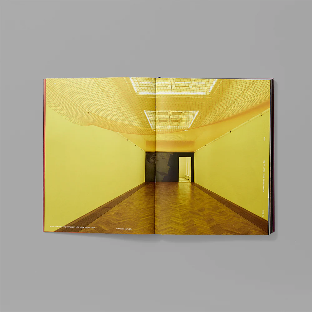 Whitney Biennial 2024: Even Better Than the Real Thing - Image 4