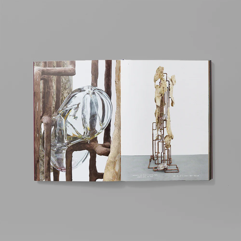 Whitney Biennial 2024: Even Better Than the Real Thing - Image 6