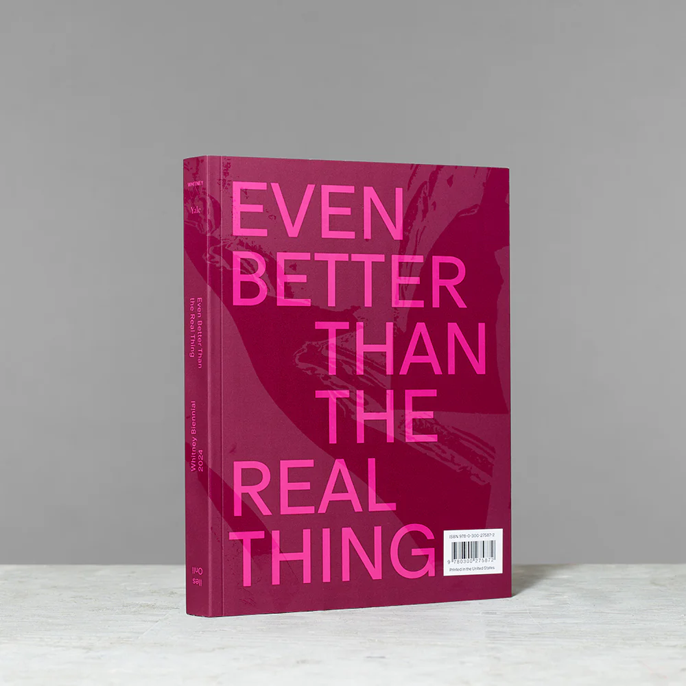 Whitney Biennial 2024: Even Better Than the Real Thing - Image 7